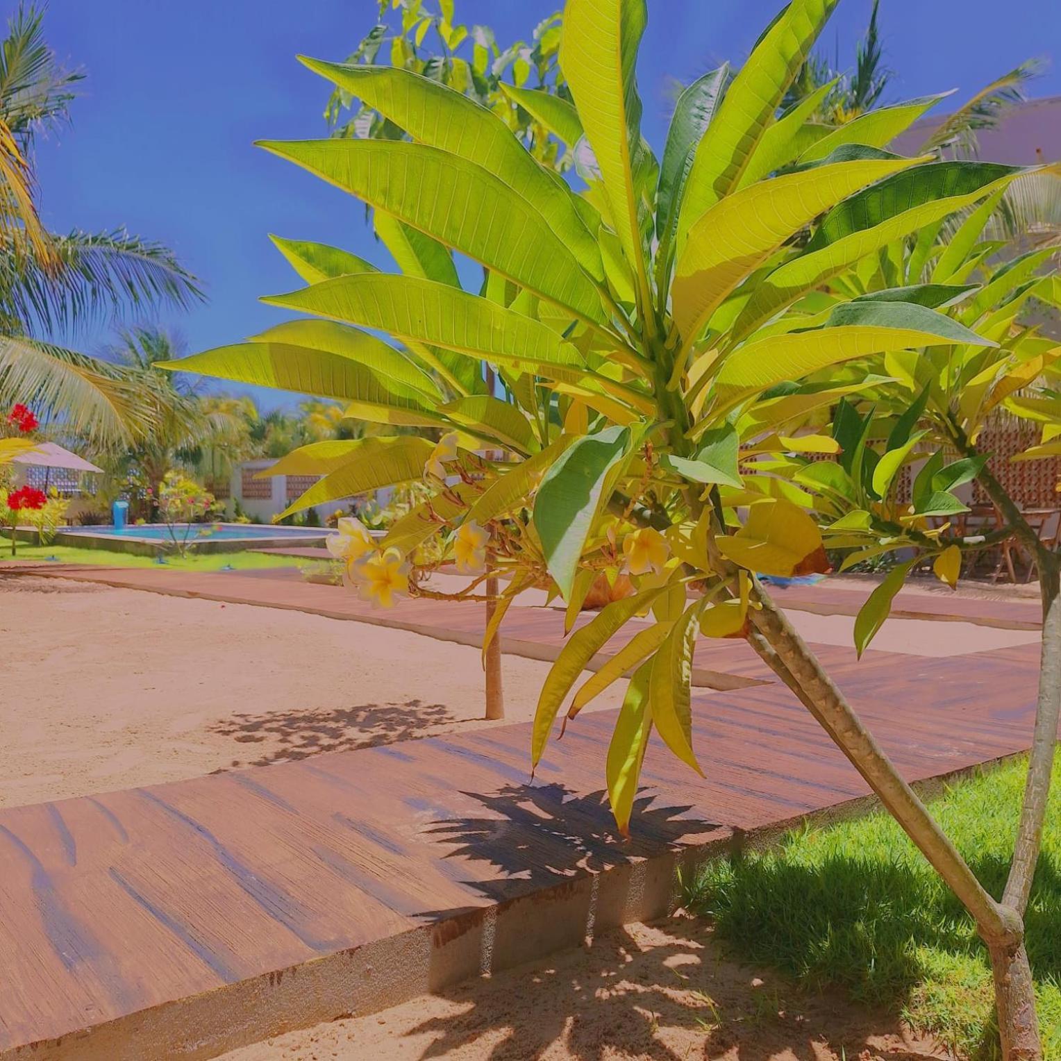 Condominio Shalom Beach Canoa Quebrada Exterior photo
